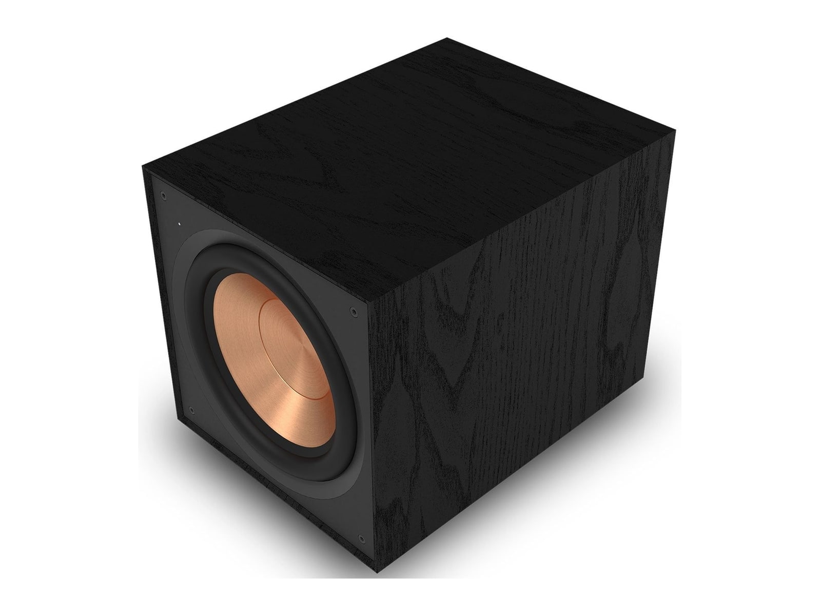 Klipsch - R-101SW Subwoofer Speakers - Black
