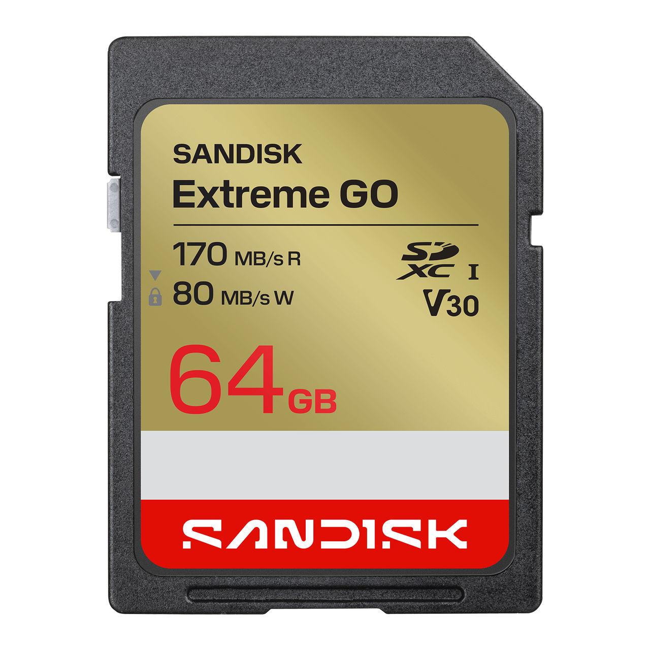 SanDisk - Extreme Go 64GB Storage Drives - UHS-I