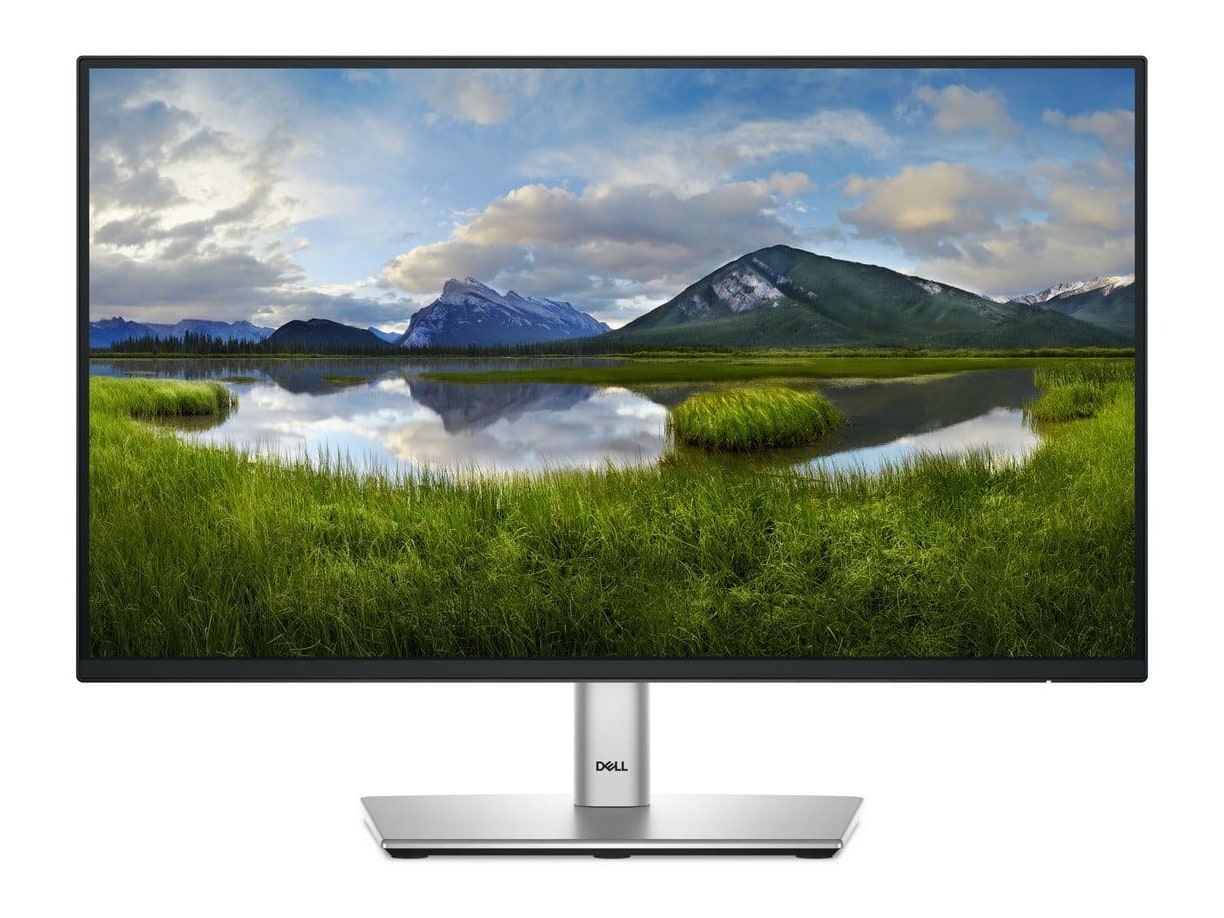 Dell - 21.5" P2225H Full HD 100Hz Professional Monitors - Black (EU)