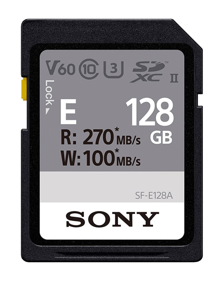 Sony - SFE128A 128GB Storage Drives - SD