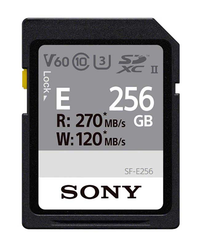 Sony - SFE256/T2 256GB Storage Drives - SD