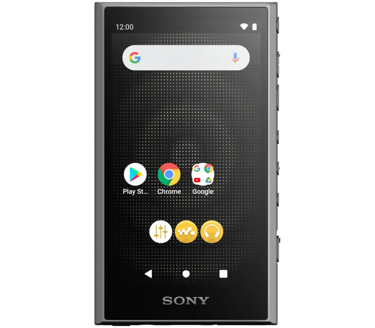 Sony - NW-A306 Walkman A Series Hi-Res Audio Players