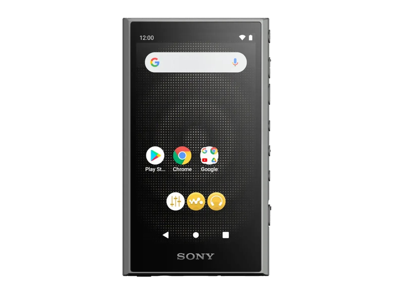 Sony - NW-A306 Walkman A Series Hi-Res Audio Players