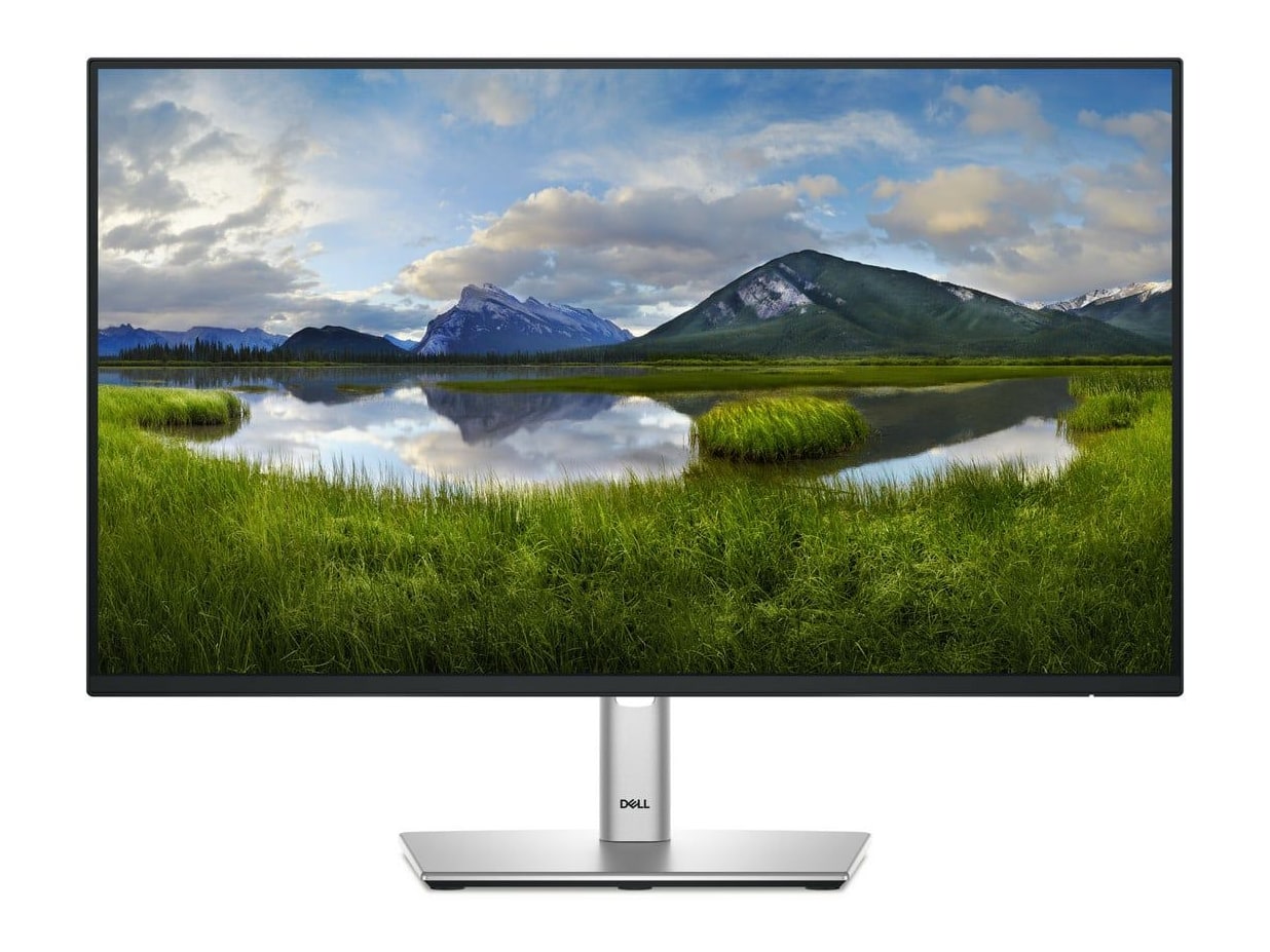 Dell - 23.8" P2425H Full HD 100Hz Professional Monitors - Black (EU)