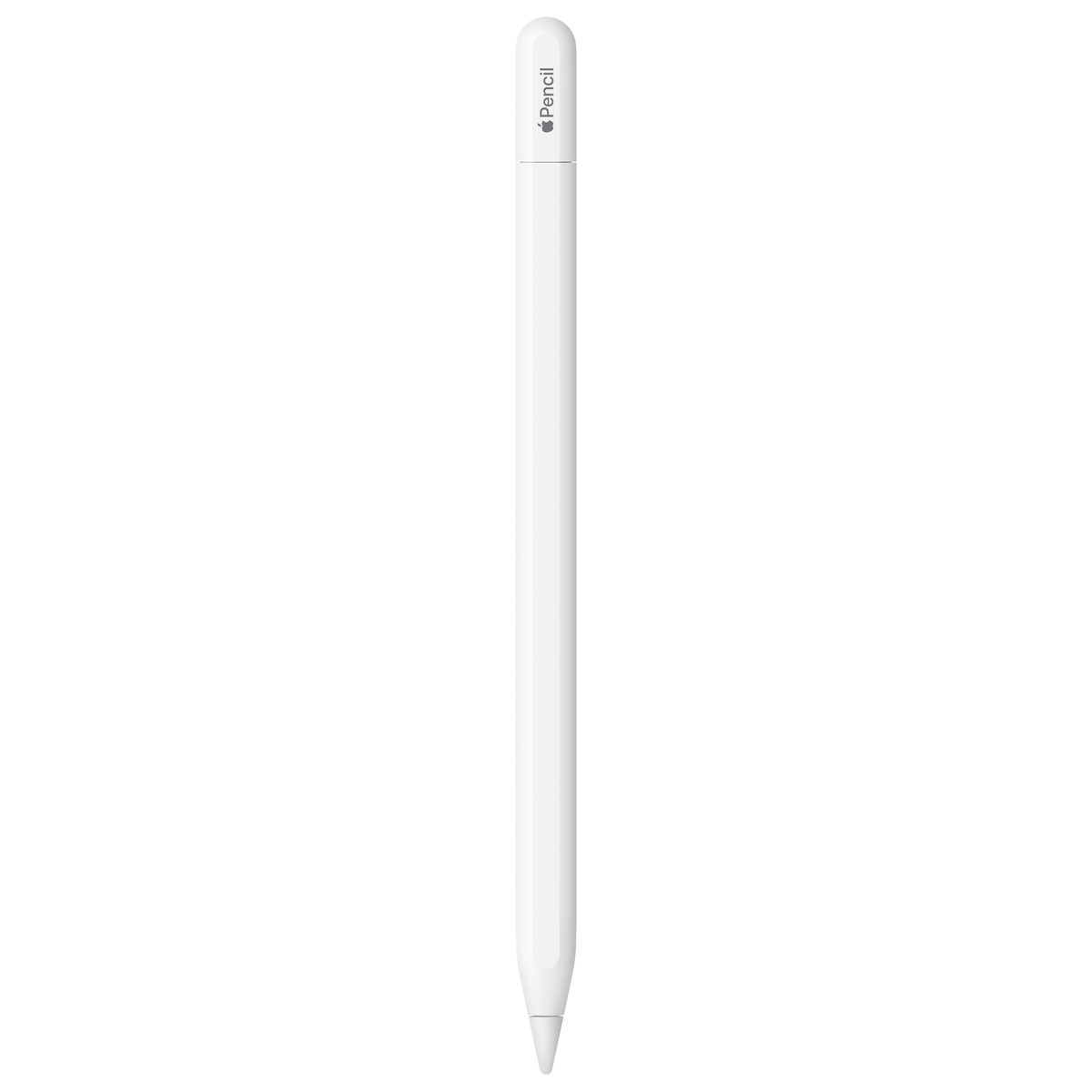 Apple - Apple Pencil (USB-C) - Stylus for iPad