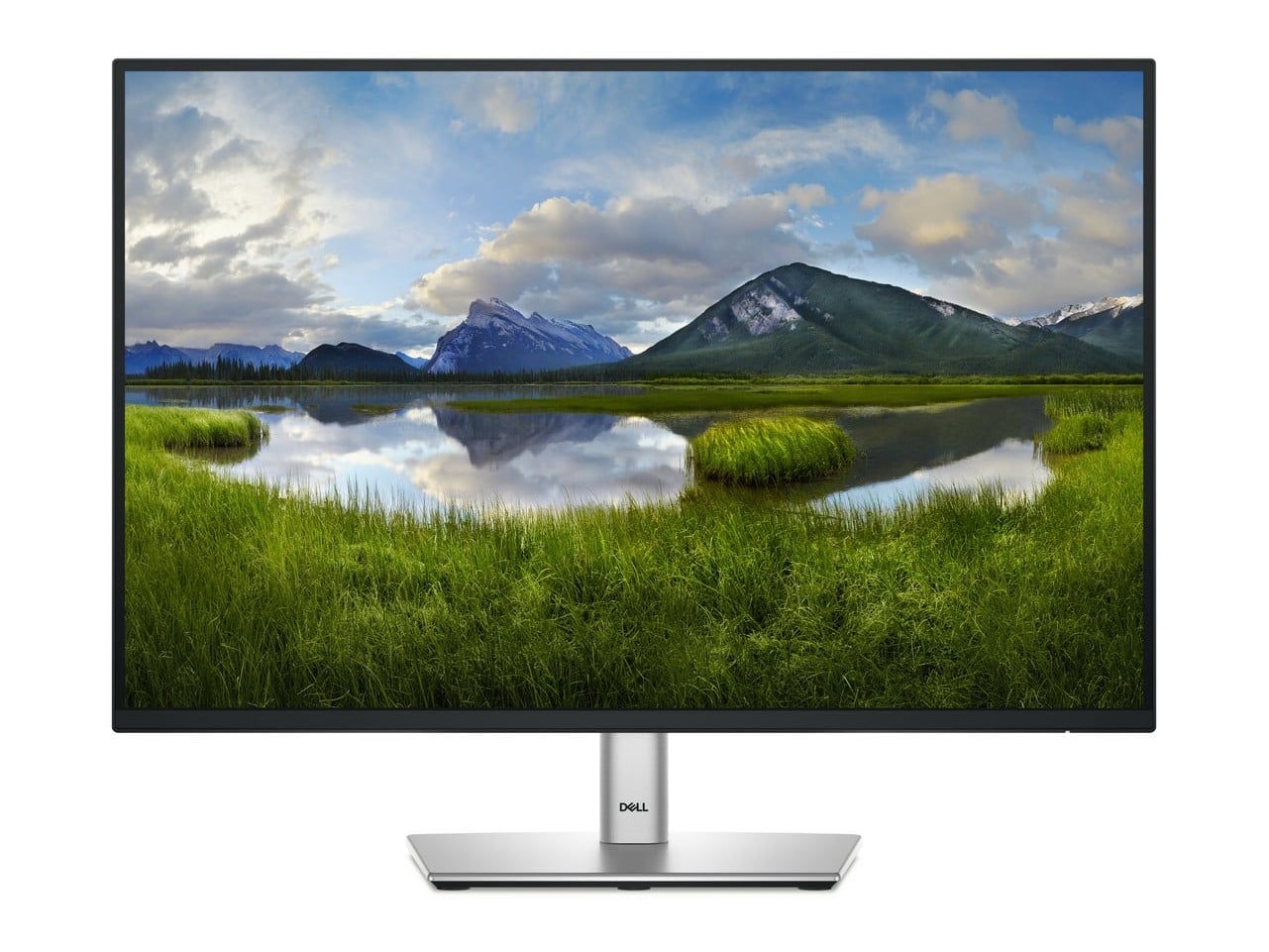 Dell - 24.1" P2425 WUXGA 100Hz Professional Monitors - Black (EU)
