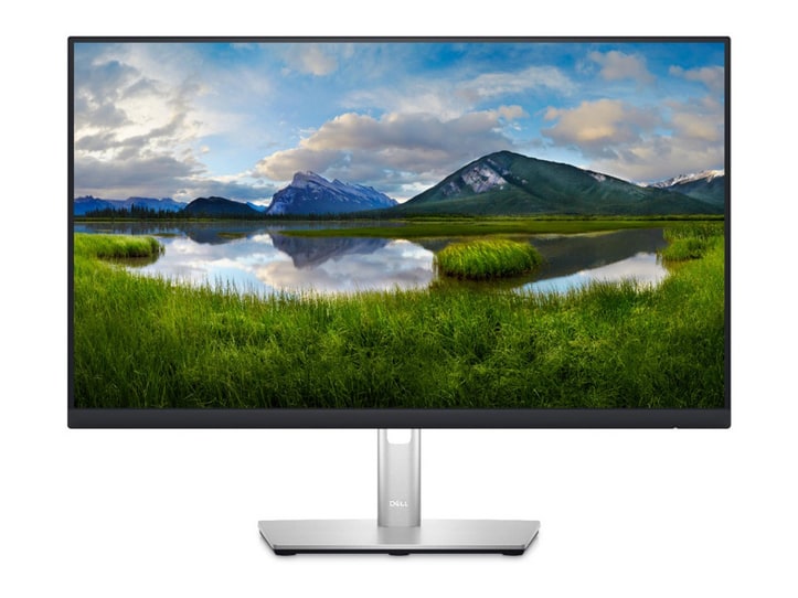 Dell - 23.8" P2423D QHD 60Hz Professional Monitors (EU)