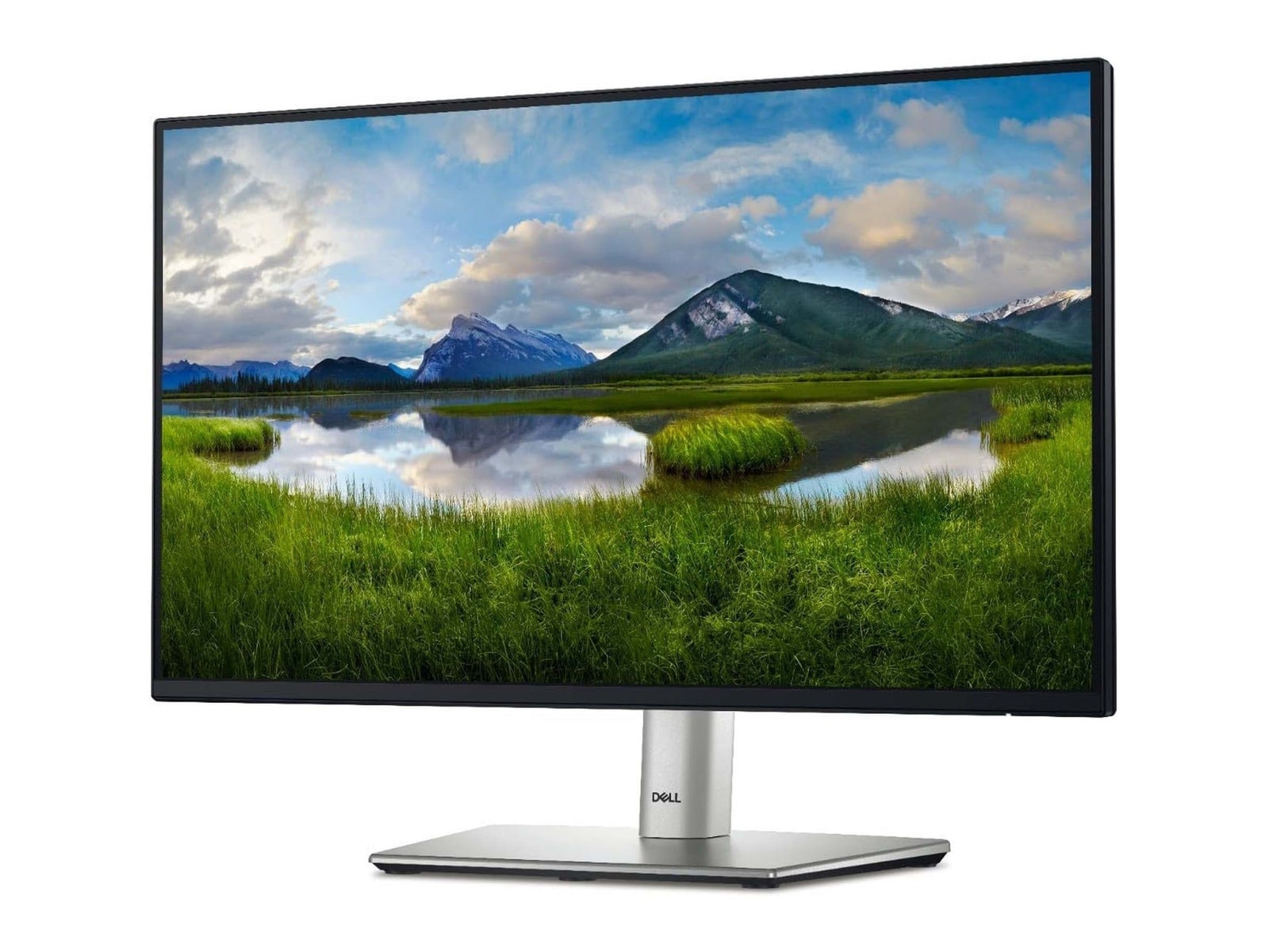 Dell - 24" P2425H Full HD 100Hz Professional Monitors