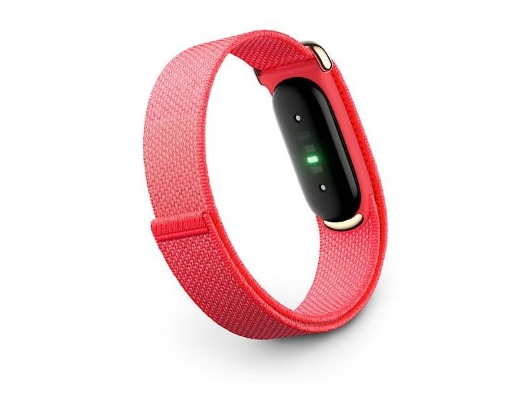Fitbit - Air Fitness Bands - Berry