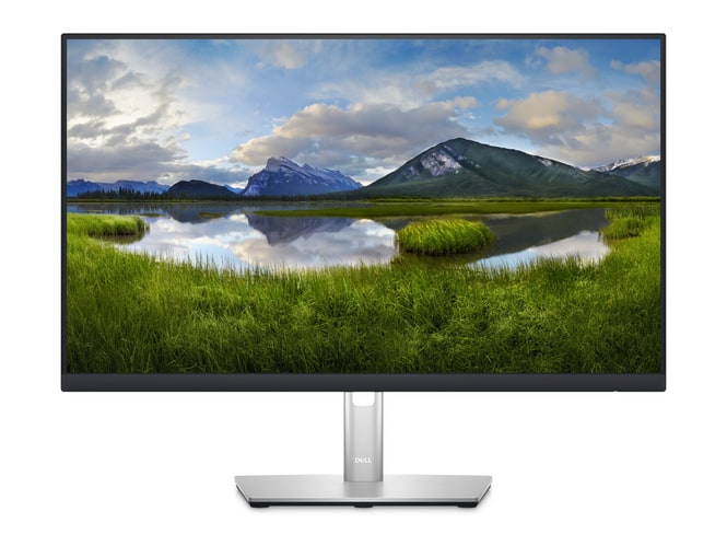 Dell - 23.8" P2423DE QHD 60Hz Professional Monitors (EU)