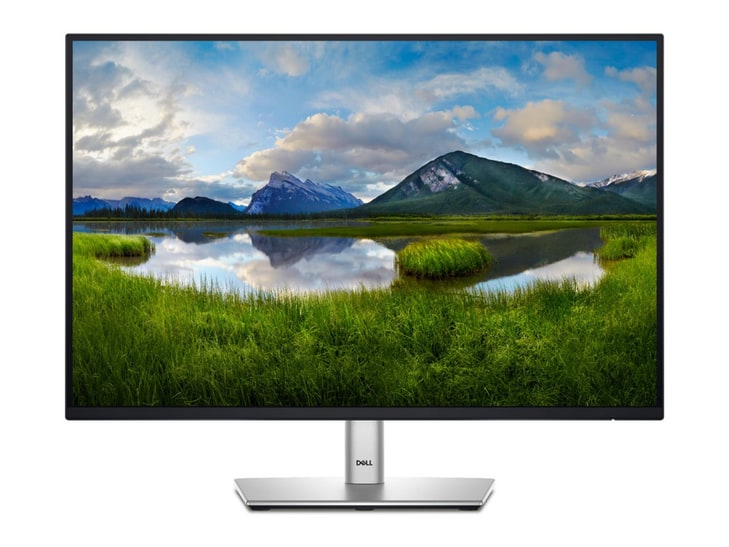 Dell - 24" P2425E WUXGA 100Hz Professional Monitors