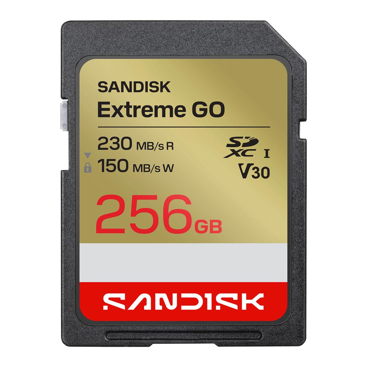 SanDisk - Extreme Go 256GB Storage Drives - UHS-I