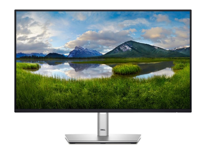 Dell - 24" P2425HE Full HD 100Hz Professional Monitors - Black (EU)
